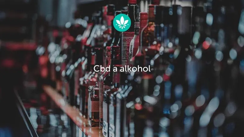 Bezpieczne połączenie? Odkrywamy, czy można łączyć CBD z alkoholem