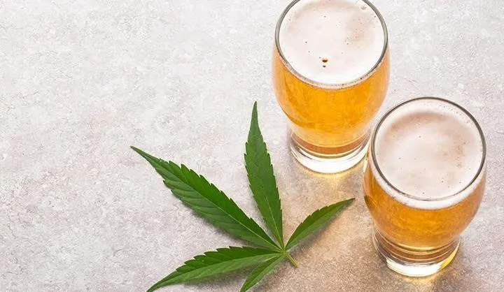 Czy Alkohol Może Wpłynąć Na Wydalanie THC Z Organizmu?