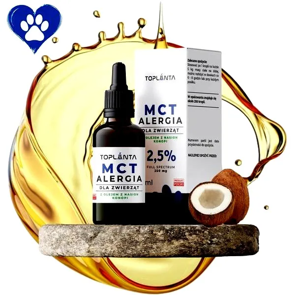 Czy CBD naprawdę może mieć negatywny wpływ na serce?