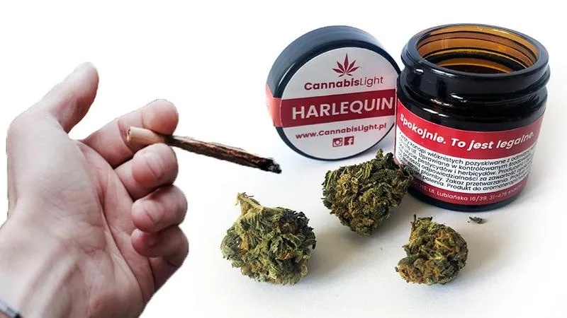 Czy Palenie CBD Może Być Uważane Za Grzech? Odkrywamy Mity i Fakty