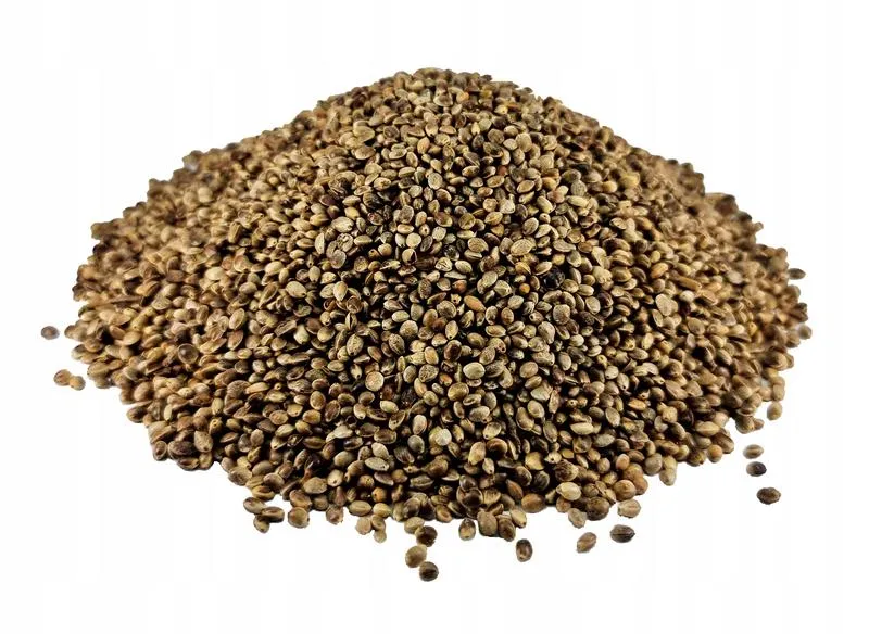 Gdzie kupić konopie wędkarskie? Przewodnik po najlepszych miejscach i ofertach