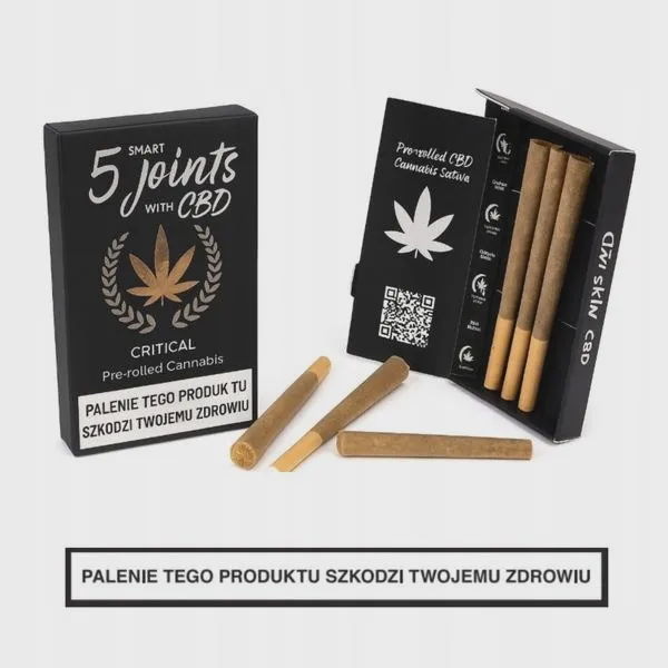 Ile kosztuje blant CBD? Sprawdź ceny i porównaj oferty!