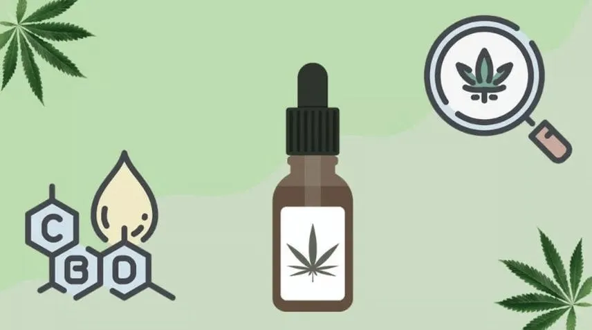 Ile procent CBD w suszu? Odkrywamy tajemnice doskonałej jakości konopi