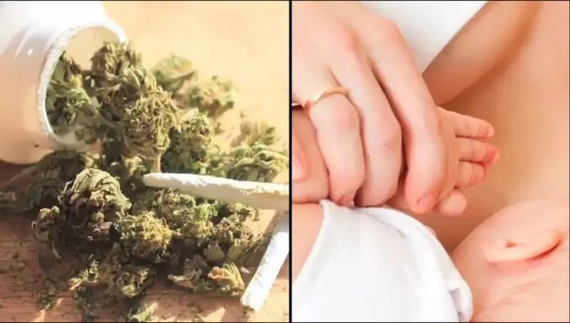 Jak długo THC pozostaje w mleku matki? Sprawdź, co mówią badania!