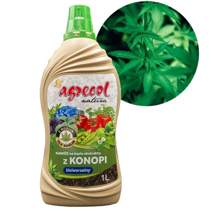 Jak skutecznie nawozić konopie: praktyczne porady dla uprawiających