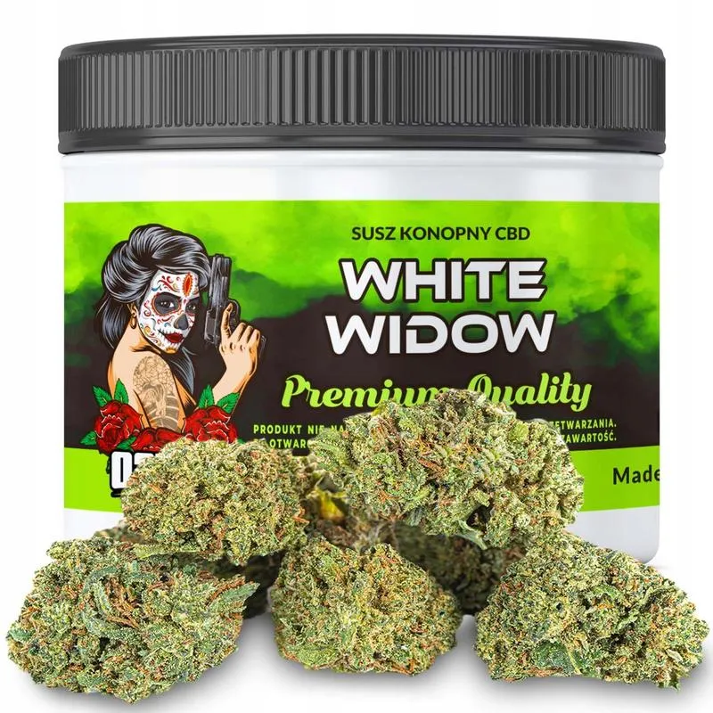 Jakie CBD wybrać? Przewodnik po najlepszych produktach na rynku