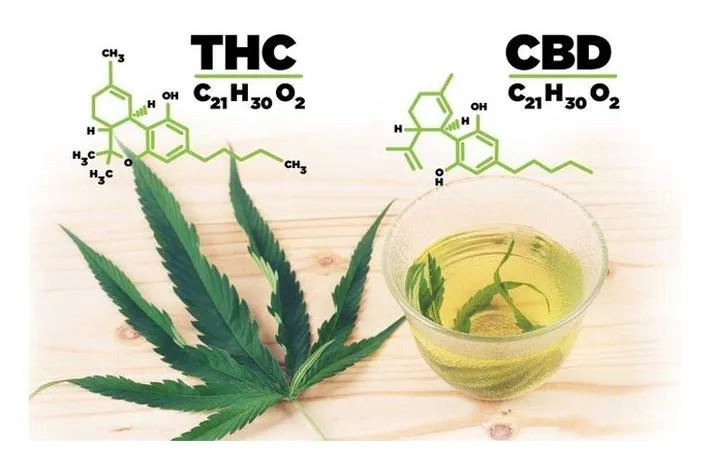 Jakie są różnice między suszem CBD a THC i ile ich tak naprawdę potrzebujesz?