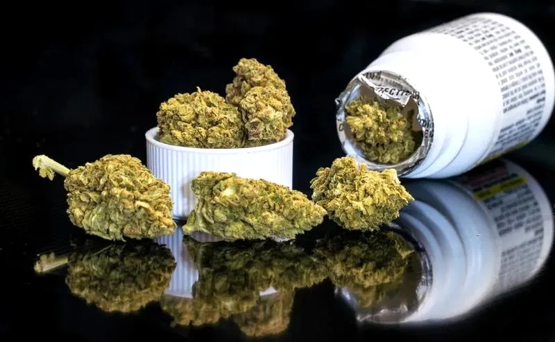 Jakie stężenie THC w medycznej marihuanie jest najbardziej efektywne?