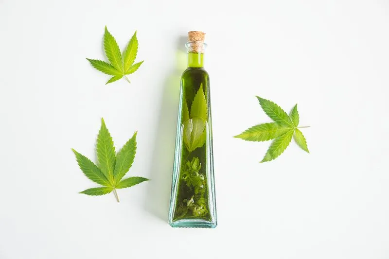 Jakie właściwości ma nalewka z konopi siewnej i na co może pomóc?