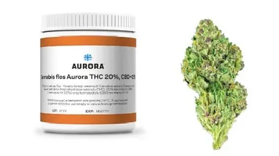 Medyczna marihuana: Ile THC naprawdę jest w terapii?