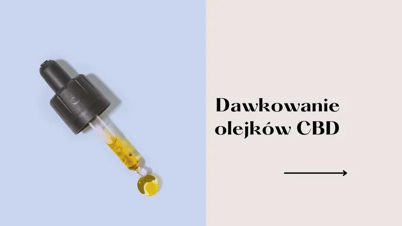 Bezpieczeństwo CBD