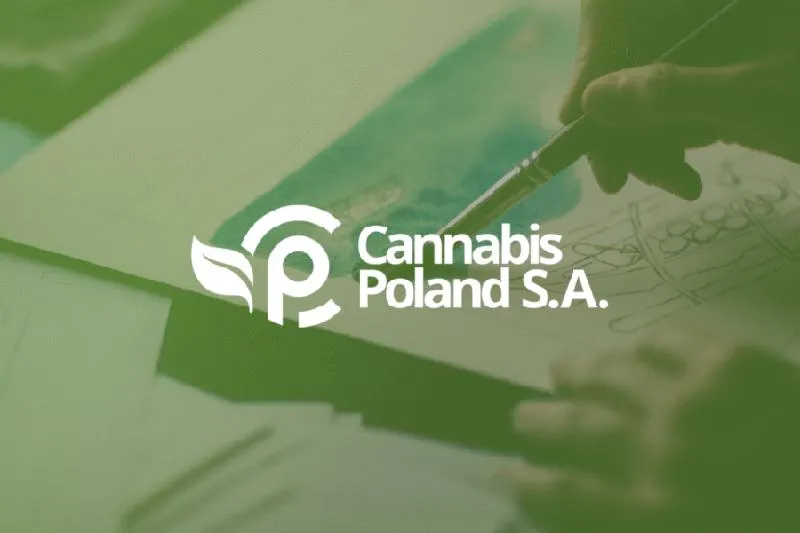 Bezpieczeństwo stosowania CBD