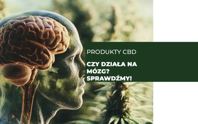 CBD i zdrowie psychiczne