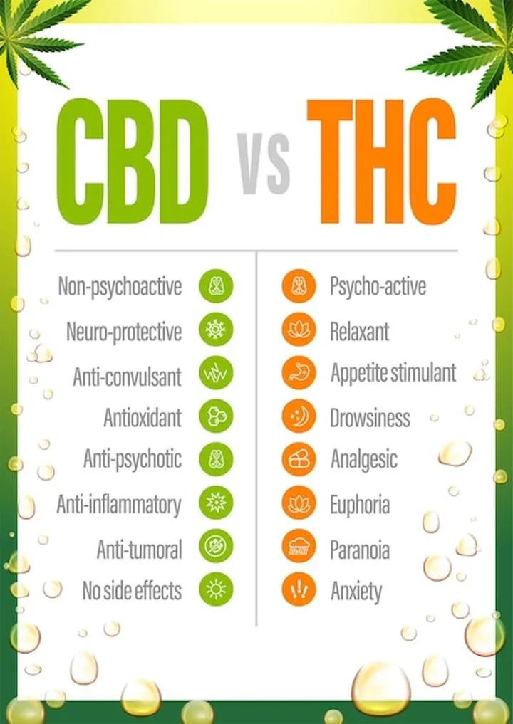CBD vs THC działanie