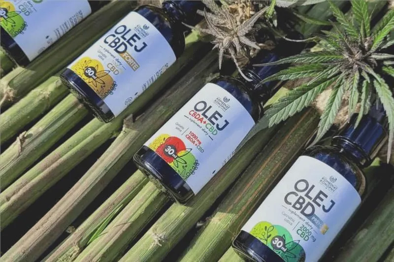 Dawkowanie CBD przed jazdą