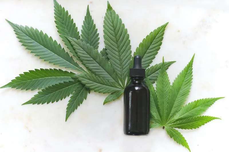 Dawkowanie olejku CBD