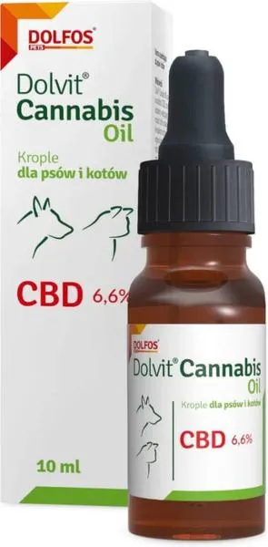 Gdzie kupić olejek CBD