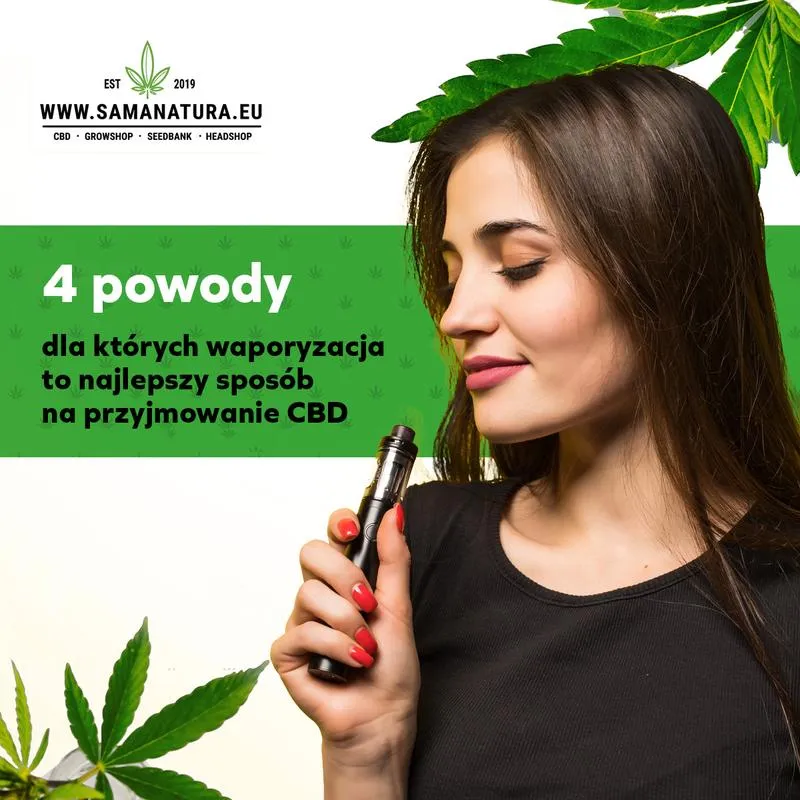 Jak temperatura wpływa na skuteczność CBD