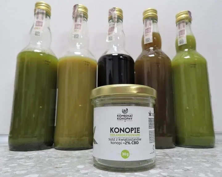Jak zrobić nalewkę z konopi siewnej