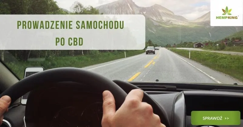 Koncentracja kierowców