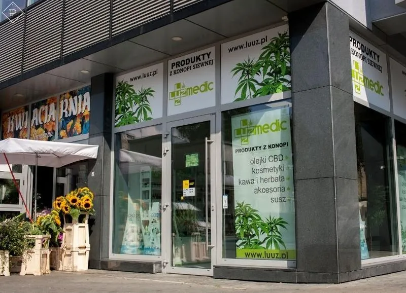 Kwestie prawne i rejestracja działalności CBD