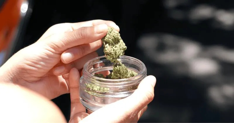 Metody naturalne detoksu