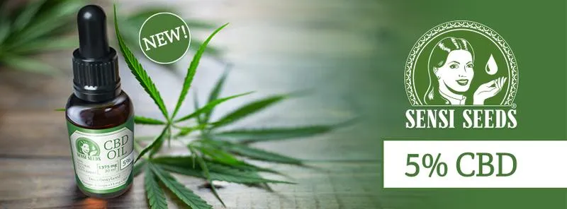 Najlepsze sklepy z CBD