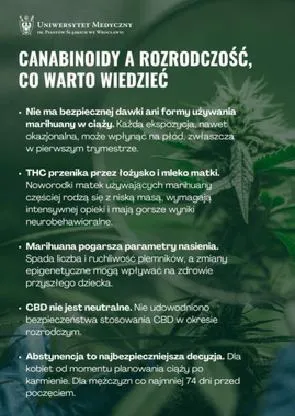 Palenie marihuany a karmienie