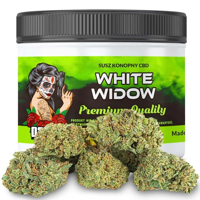 Podstawy CBD przed zakupem suszu