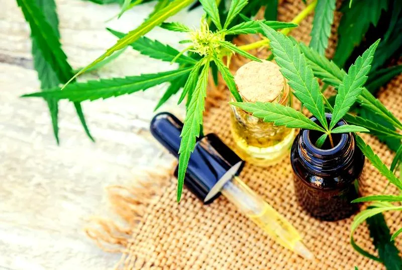 Procent CBD dla początkujących