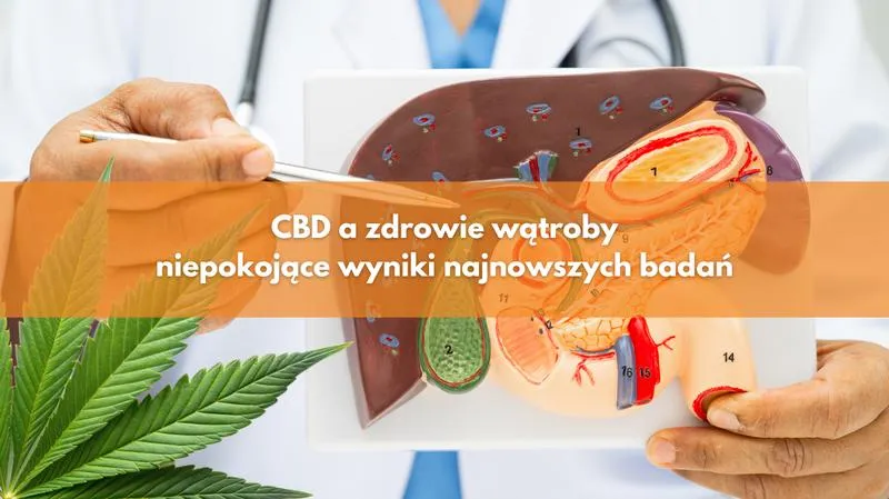 Różnice CBD THC