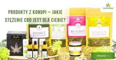 Suplementacja CBD