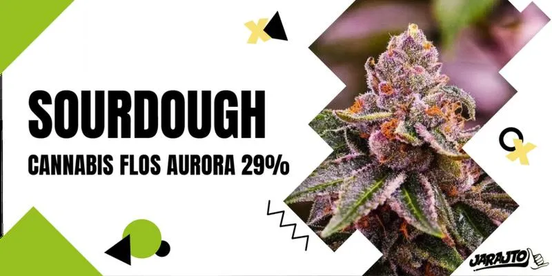 THC i zdrowie