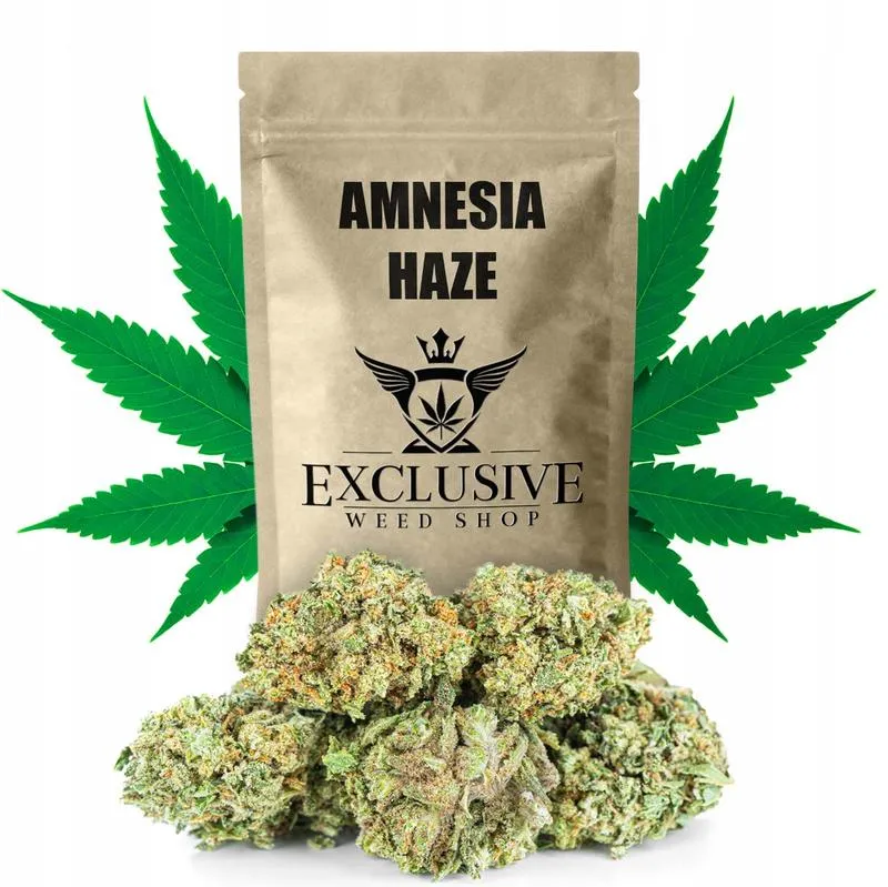 THC w Amnesia Haze