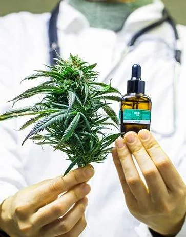 THC w medycznej marihuanie