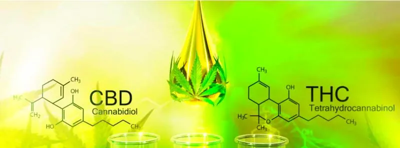 Tetrahydrokannabinol właściwości