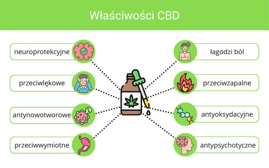 Właściwości CBD