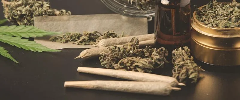 Właściwości konopi leczniczych