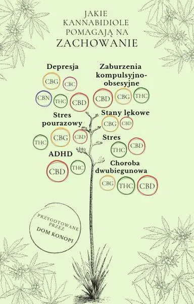 Właściwości ziemi konopi