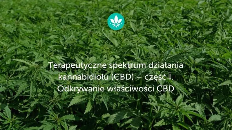 Wpływ konopi na układ immunologiczny