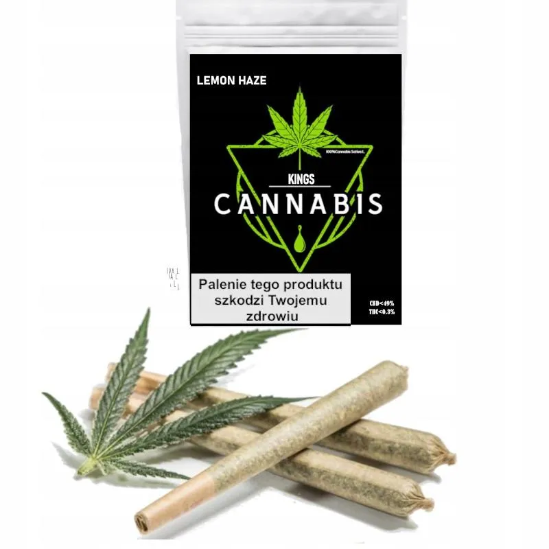 Zastosowania CBD w medycynie