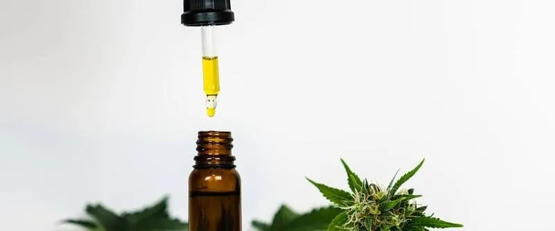 Zawartość THC
